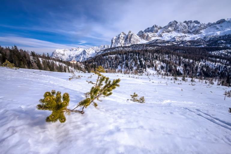 narty w Cortina d’Ampezzo 