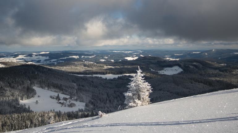 narty w Feldberg 