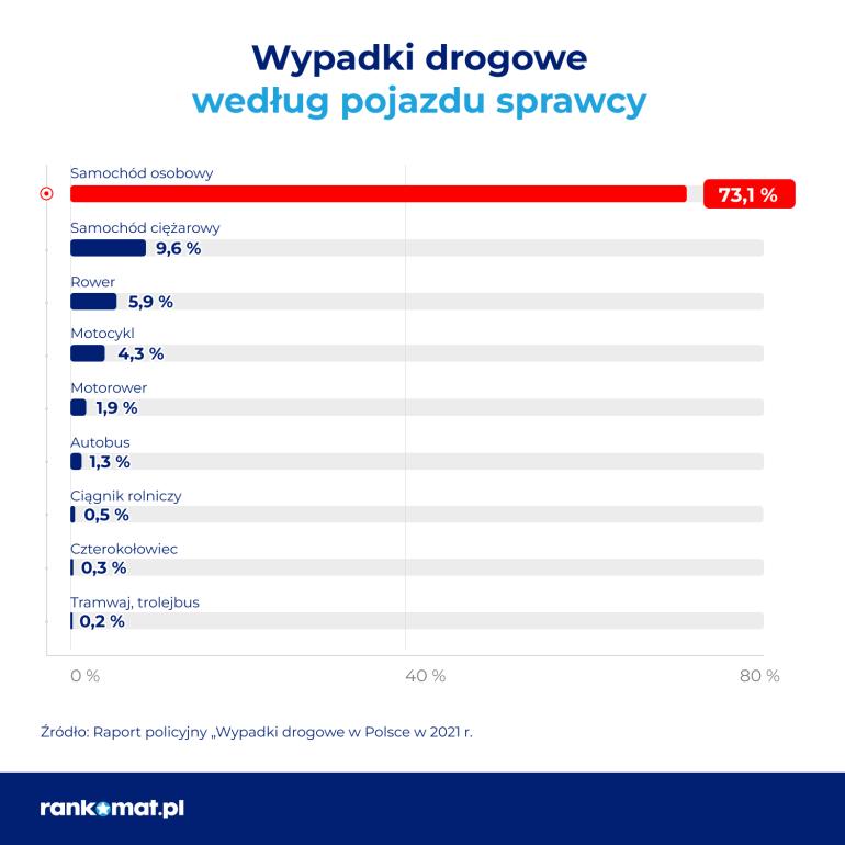 sprawcy wypadków