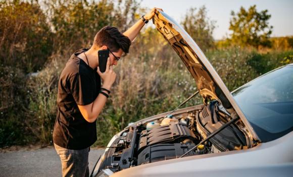 Jak zabezpieczyć auto przed kunami? 5 sprawdzonych sposobów